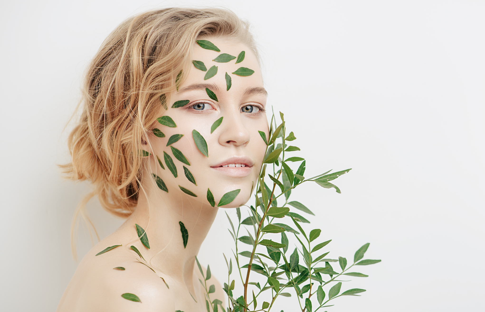What Organic Ingredients Are A Must Have In Your Skincare Routine